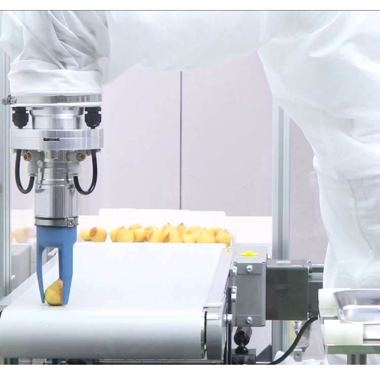 6축 CNC 로봇 팔(리니어 가이드 레일, 그리퍼 및  - Robot Gripper 리뷰 및 가격